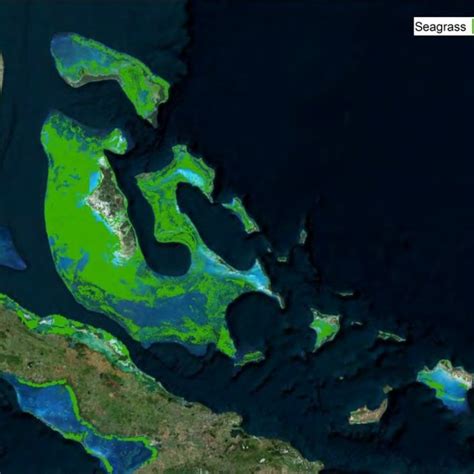 Map showing locations of coral reefs in The Bahamas. | Download Scientific Diagram