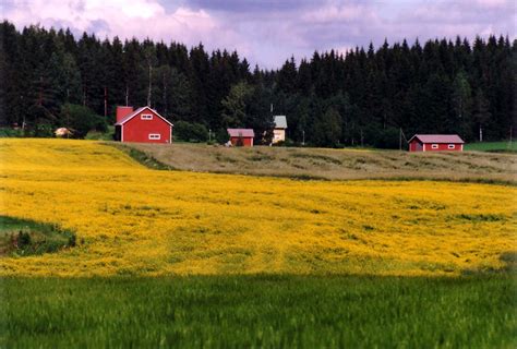 File:Rural landscape.JPG - Wikipedia