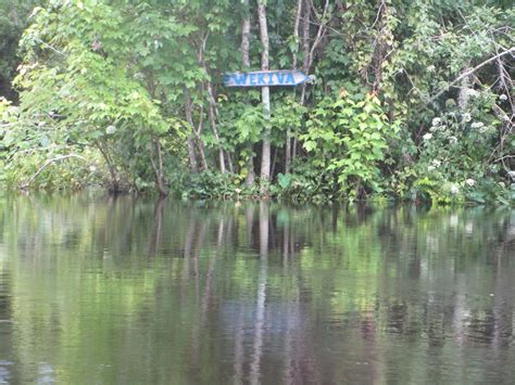 Dave's Yak Tales: Wekiva River