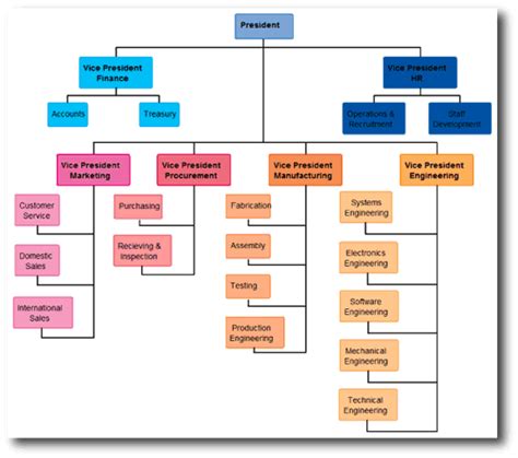 Functional Organizational Chart