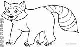 Printable Raccoon Coloring Pages For Kids  Cool2bKids sketch template