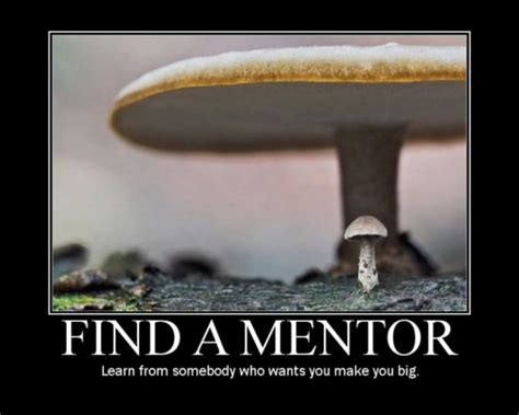 Funny Quotes About Mentoring. QuotesGram