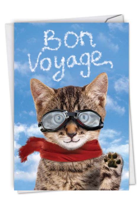 Goodbye Cat: Funny Bon Voyage Paper Card