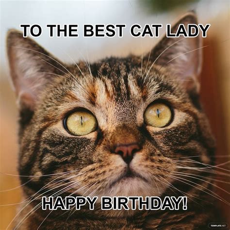 Happy Birthday Cat Meme For Her in GIF, JPG, PNG, Illustrator, PSD - Download | Template.net