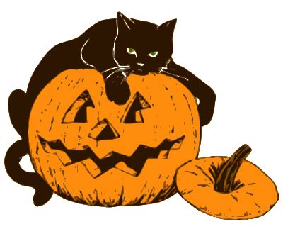 cat on Halloween pumpkin | Halloween kürbis, Halloween, Katzenzubehör