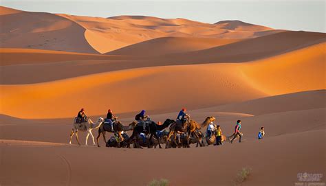 Camel Trek Merzouga Morocco | Overnight in Dunes of Erg Chebbi