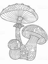 Mushroom Mandala Coloring Pages sketch template