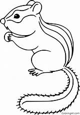 Chipmunk Coloring Pages 23 Free Printables  ColoringAll sketch template