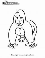 Gorilla Coloring Page  A Free Animal Printable sketch template