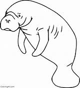 Manatee Coloring Pages 26 Free Printables  ColoringAll sketch template