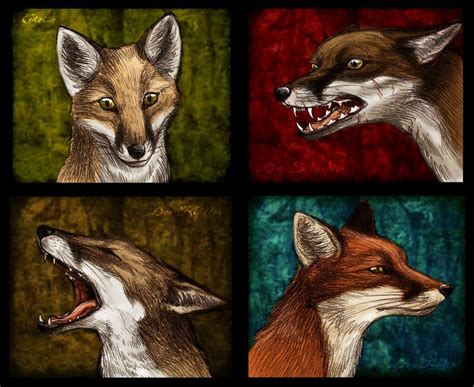 The Red Pack by Culpeo-Fox on DeviantArt | Fox pups, Fox, Fox art