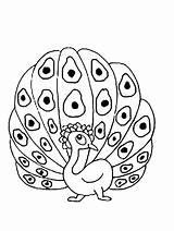 Simple Peacocks coloring Page to Download For Free In 2022  Peacock sketch template