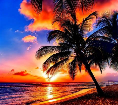 Beach Sunset | Luoghi di vacanza, Alba sulla spiaggia, Paesaggi
