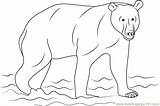 Kamchatka Brown Bear Coloring Page For Kids  Free Printable sketch template