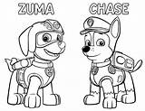 Zuma Coloring Pages sketch template