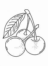 Cherry coloring Pages  ColoringLib sketch template
