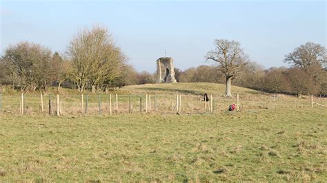 Knepp Wildland - Tree planting in West Sussex with EFORESTS.CO.UK