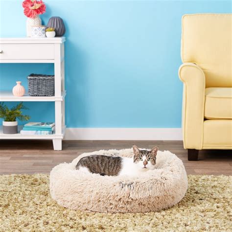 6 Best Cat Beds For Large Cats In 2023 - Cat Mania