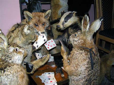 Animals playing cards at Macola's | Don't be fooled by their… | Flickr