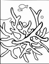 Seaweed Coloring Pages Cartoon Printable Drawing Kelp Kids Template  sketch template