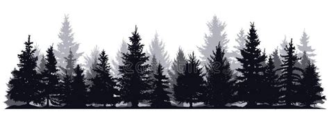 Pine Trees Silhouettes. Evergreen Coniferous Forest Silhouette, Nature Spruce Tree Park View ...