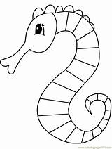 Coloriage Hippocampe Simple  Dessin Gratuit à Imprimer sketch template