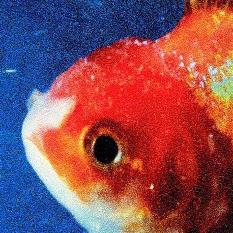 Vince Staples - Big Fish Theory Lyrics and Tracklist | Genius