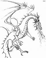 Coloring Pages Printable Dragon sketch template