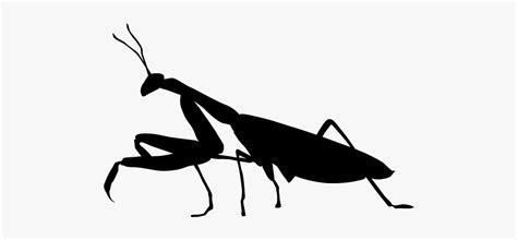 Grasshopper Clipart Silhouette - Clip Art , Free Transparent Clipart - ClipartKey