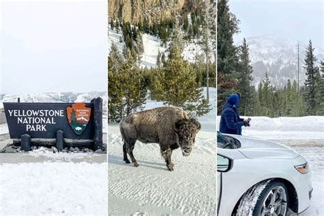 Winter Wonderland: Your Guide to Visiting Yellowstone National Park in ...