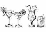 Premium Vector  hand Drawn Set Of cocktails And Alcohol drinks sketch template