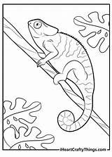 15 Free Lizard Coloring Pages Printable Cute Realistic PDF sketch template