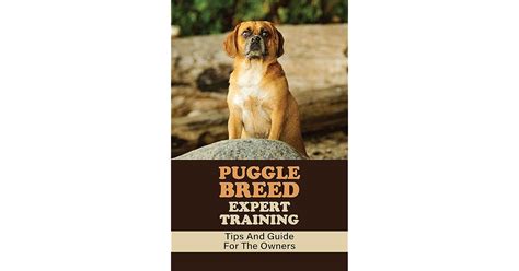 Puggle Breed Expert Training: Tips And Guide For The Owners: How To ...