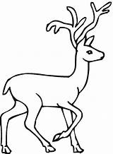 Free Deer Coloring Pages sketch template
