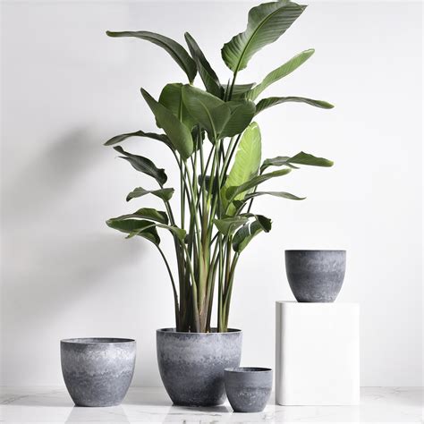 Grey Plant Pot - markanthonystudios.net