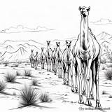 Camel In Desert Coloring Pages  Free & Printable sketch template