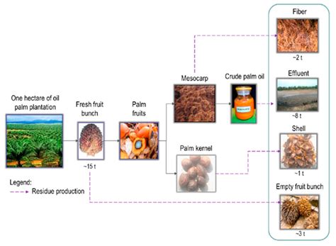 palm oil mill process pdf - Diane Graham