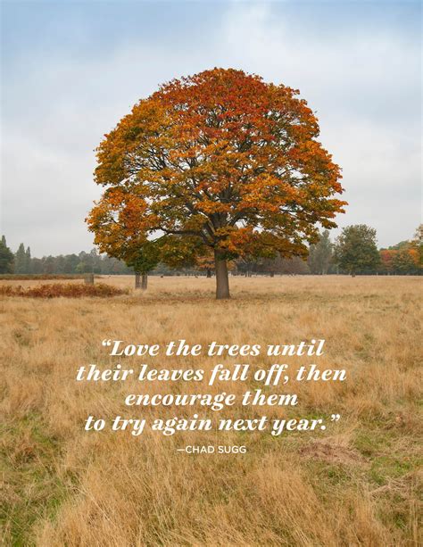 24 November Quotes That Will Make You Thankful for Fall | November quotes, Autumn quotes, Love ...