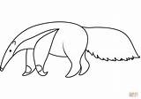 Desenho De Tamanduá Para Colorir  Desenhos E Imprimir Gratis sketch template