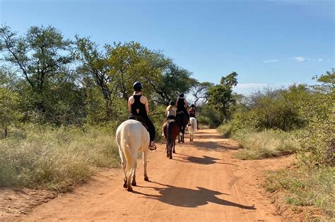 Go on a horse-back safari on the Hoedspruit Wildlife Estate - Ubuntu ...