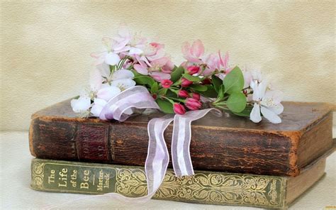 Still Life | Book flowers, Bee book, Book photography