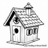 Bird House Coloring Pages  Free & Printable sketch template