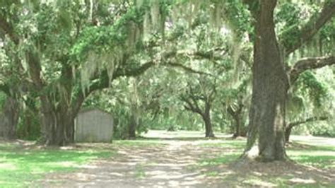 Charleston County Parks hiring for summer jobs