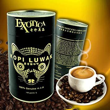 Cat Poop Coffee – The World’s Most Expensive Coffee, Kopi Luwak – BeanPick