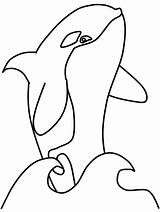 Killer Whale Orca Coloring Page sketch template