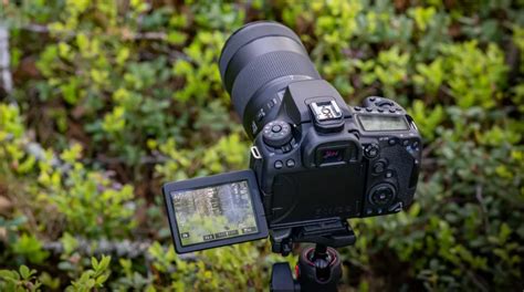 Full-Frame Mirrorless Camera Under $1000 at Roberto Harvey blog