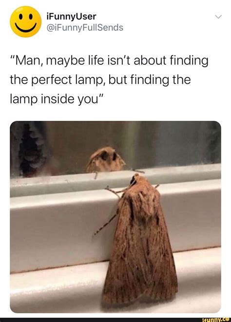 15 Moth Memes That Will Light Up Your Day - Funny