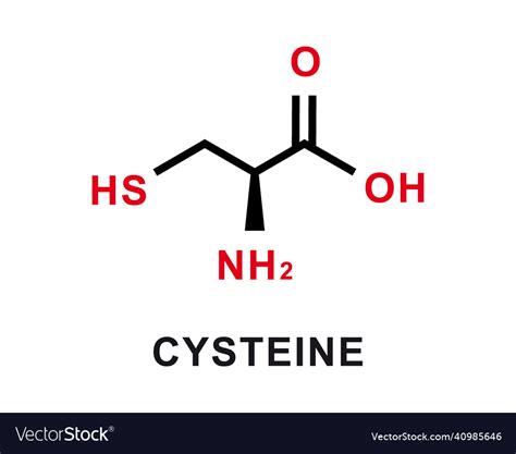 Cysteine chemical formula chemical Royalty Free Vector Image