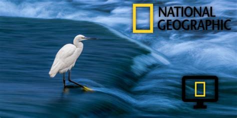 Wallpapers con National Geographic en Ubuntu y derivados - El atareao