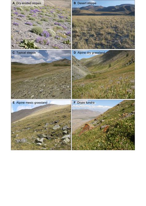 Habitat types of the Altaian steppe-tundra. Localities: A, D, F ...